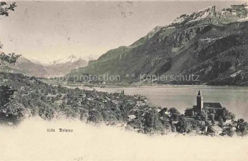 AK / Ansichtskarte Brienz Brienzersee BE Panorama