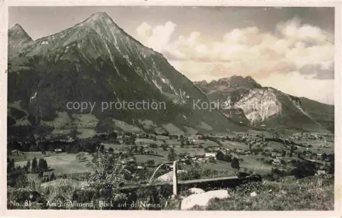AK / Ansichtskarte Allmend Aeschi Spiez BE Panorama Blick auf den Niesen