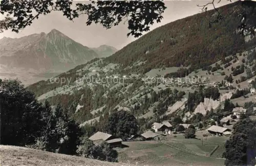AK / Ansichtskarte Beatenberg Thunersee BE Panorama Blick gegen Niesen