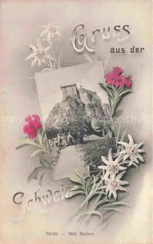 AK / Ansichtskarte Saentis 2504m Appenzell AR Meteorologische Station auf dem Saentis Alpenflora Edelweiss