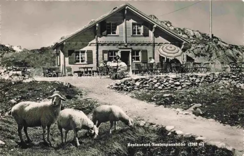 AK / Ansichtskarte Susten Innertkirchen BE Restaurant Sustenpasshoehe Schafe