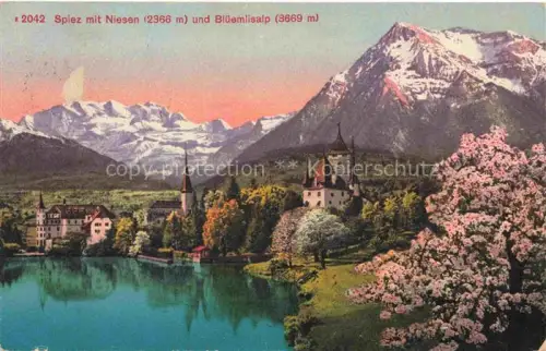 AK / Ansichtskarte SPIEZ Thunersee Niedersimmental BE Panorama Blick gegen Niesen und Blueemlisalp Baumbluete
