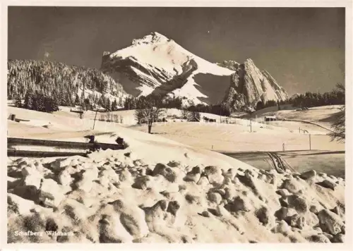 AK / Ansichtskarte Wildhaus  Toggenburg SG Winterpanorama Blick zum Schafberg