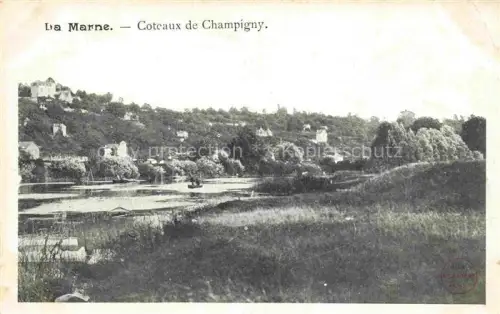 AK / Ansichtskarte Marne 51 Region Reims Coteaux de Champigny