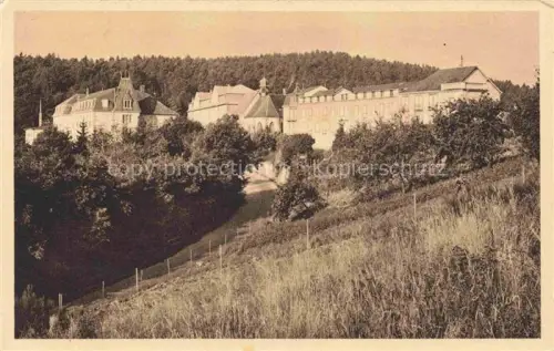 AK / Ansichtskarte Les Trois Epis Drei aehren Saint-Die 68 Ht-Rhin Vue sur les Grands Hotels