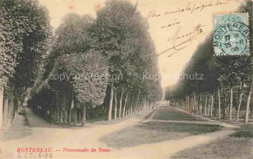 AK / Ansichtskarte Montereau-Fault-Yonne 77 Seine-et-Marne Promenade-de-Noue Baumallee Kastanien Park Rasen Spazierweg handkoloriert