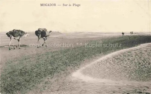 AK / Ansichtskarte Mogador Maroc Plage Kamele Strand Wueste Kueste