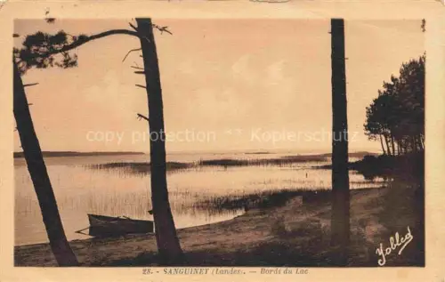 AK / Ansichtskarte Sanguinet Mont-de-Marsan 40 Landes Bords-du-Lac See Pinienwald Boot Schilf Ufer Seeufer Rue-Lamartine