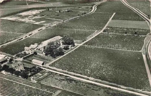 AK / Ansichtskarte Barsac BORDEAUX 33 Gironde Chateau Piada Clos du Roy Vue aerienne