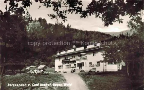 AK / Ansichtskarte Geigant Waldmuenchen Cham Bayern Bergpension und Cafe Rosshof