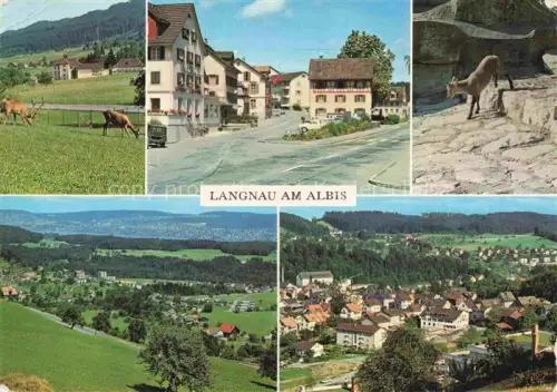 AK / Ansichtskarte Langnau Albis Horgen ZH Ortszentrum Panorama Wildgehege