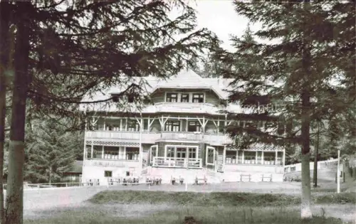 AK / Ansichtskarte Cimpulung Moldovenesc RO Cabana-Deia Holzgebaeude Bergwald Tannen Berghotel Veranda