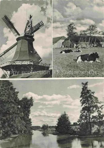 AK / Ansichtskarte Berumerfehn Grossheide AURICH Niedersachsen Kompanienhaus Windmuehle Kuehe Weide Fluss Mehrbildkarte