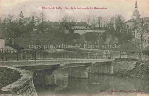 AK / Ansichtskarte Neufchateau 88 Vosges Pont-de-la-Promenade-des-Marronniers Bruecke Fluss Kirche Huegel Promenade Kastanienbaeume
