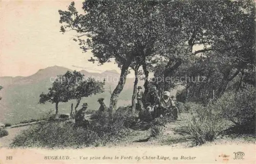 AK / Ansichtskarte Bugeaud Algerie Foret-de-Chene-Liege Korkeiche Wald Berglandschaft Ruhende Felsbrocken Bergmassif
