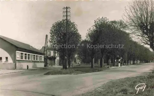 AK / Ansichtskarte Le Plessis-Trevise Nogent-sur-Marne 94 Val-de-Marne Place-des-Fêtes Avenue-Ardouin Baeume Telegrafenmast Strasse Echtfoto