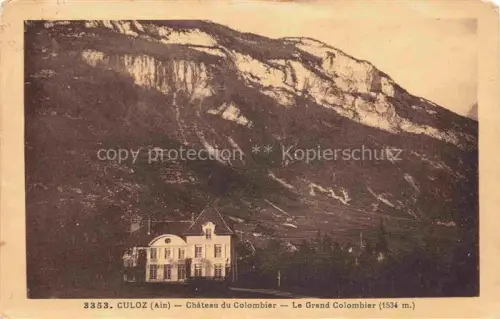 AK / Ansichtskarte Culoz Belley 01 Ain Chateau-du-Colombier Grand-Colombier Felsen Bergwand Schloss Wiese Berge