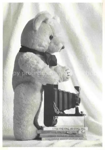 AK / Ansichtskarte Teddybaer Teddy Teddy-bear Kamera 