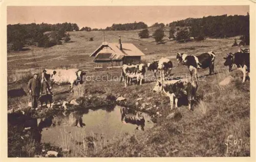 AK / Ansichtskarte Le Linge Lingekopf Orbey Ribeauville 68 Alsace Paysage pittoresque