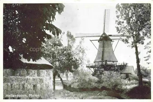 AK / Ansichtskarte Hellendoorn Overijssel NL Molen Windmuehle Bauernhaus Baeume Wiese Fotokarte