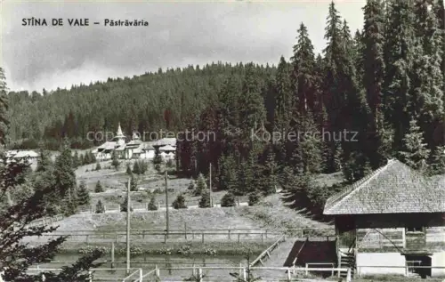 AK / Ansichtskarte Stana de Vale Pastravariei Forellenzucht Berglandschaft Tannen Holzgebaeude Karpaten Fotokarte