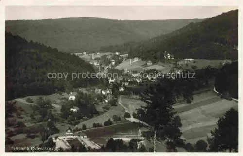 AK / Ansichtskarte Herrenalb BAD HERRENALB BW Schwarzwald Tal Panorama Wald Wiesen Dorf S/W-Fotokarte