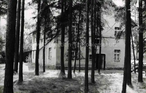 AK / Ansichtskarte Fohrenreuth Rehau Kiefernwald Haus Ferienhaus Baeume Forsthaus Auto