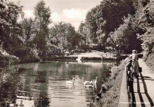 AK / Ansichtskarte Northeim Niedersachsen Schwanenteich