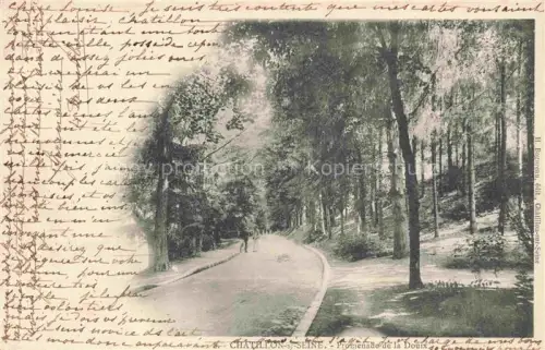 AK / Ansichtskarte Chatillon-sur-Seine Montbard 21 Cote-d Or Promenade-de-la-Doux Allee Baeume Spazierweg Park Spaziergaenger