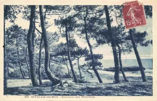 AK / Ansichtskarte SAINT-PALAIS-SUR-MER Rochefort 17 Charente-Maritime Sous-bois-aux-Pierrières Pinien Wald Kueste Meer Felsen Lichtung Baeume Duenen