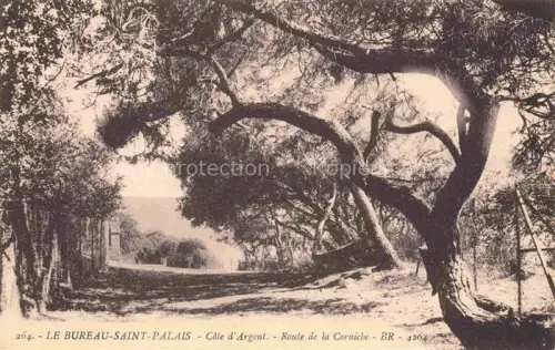 AK / Ansichtskarte SAINT-PALAIS-SUR-MER Rochefort 17 Charente-Maritime Route-de-la-Corniche Kuestenstrasse Allee Baeume Kiefern Meer Strandweg Schatten