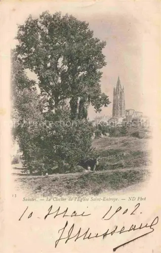 AK / Ansichtskarte SAINTES 17 Charente-Maritime Clocher-de-l Eglise-Saint-Eutrope Kirchturm Gotik Baeume Wiese