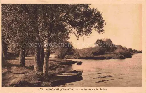 AK / Ansichtskarte Auxonne DIJON 21 Cote-d Or Bords-de-la-Saône Fluss Boot Weiden Baeume Ufer Natur