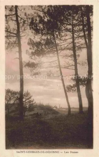 AK / Ansichtskarte Saint-Georges-de-Didonne ROYAN 17 Charente-Maritime Les-Dunes Kiefern Duenen Abendhimmel Kueste Silhouette Stimmungsbild