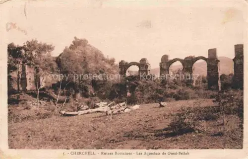 AK / Ansichtskarte Cherchell Algerie Aqueducs-de-Oued-Bellah Roemische-Ruinen Aquaedukt Bogen Vegetation Archaeologie Ruinen