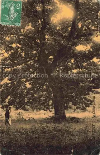 AK / Ansichtskarte Saint-Point MACON 71 Saone-et-Loire Chêne-Jollion Eiche Baum Wald Mann Wiese Handkoloriert