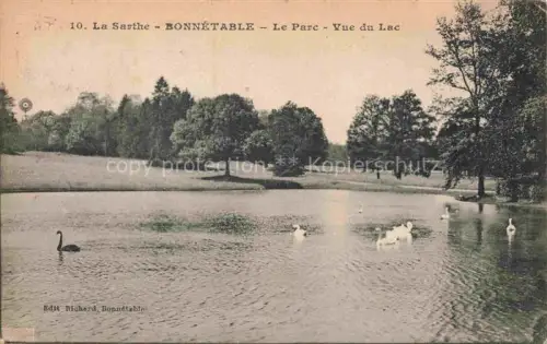 AK / Ansichtskarte Bonnetable MAMERS 72 Sarthe Le-Parc Vue-du-Lac See Schwaene Schwarzer-Schwan Park Baeume Wiese Handkoloriert