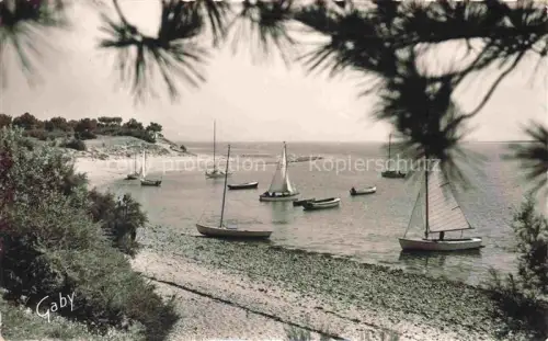 AK / Ansichtskarte Portes-en-Re Les Anse-de-Trousse-Chemise Fier Segelboote Bucht Pinien Kieselstrand