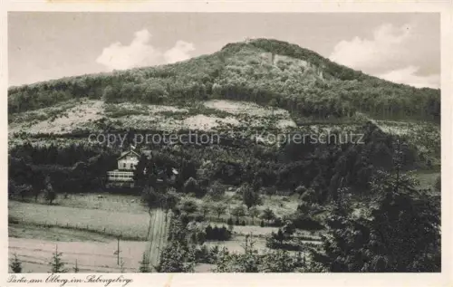 AK / Ansichtskarte Ittenbach Koenigswinter Rhein-Sieg-Kreis NRW oelberg Siebengebirge Restaurant Berghotel Wald Felsen Rheinblick