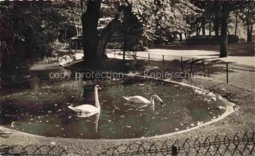 AK / Ansichtskarte Velotte Besancon Promenade-Micaud Park Schwaene Teich Baeume Weg