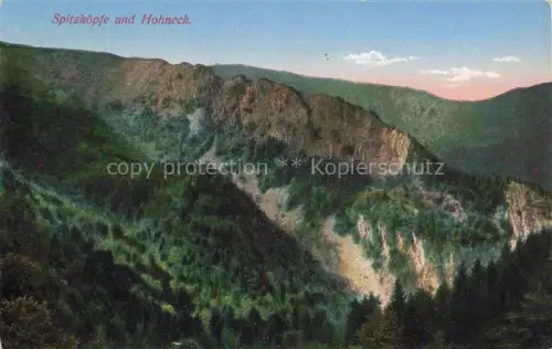 AK / Ansichtskarte Spitzkoepfe Hohneck Le Gerardmer 88 Vosges Spitzkoepfe Hohneck Vogesen Felsformation Bergwald Bergkamm Tal