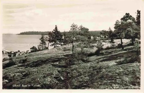 AK / Ansichtskarte Gaevle Sweden Furuvik Schaeren Felsen Kiefern Kueste See Wald