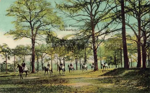 AK / Ansichtskarte Newmarket  Suffolk UK Warren-Hill-Plantation Reiter Pferde Wald Reittraining Buchen Landschaft Galopptraining