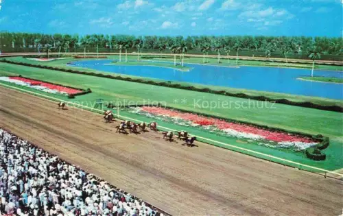 AK / Ansichtskarte Hialeah Florida USA Hialeah-Race-Course Pferderennen Rennbahn Zuschauer Flamingos See Palmen Blumenbeet