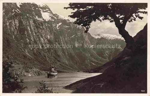 AK / Ansichtskarte Naerofjord Norge Fjord Dampfschiff Berge Schnee Felswaende Baum