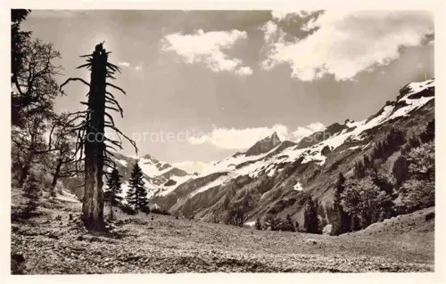 AK / Ansichtskarte Hinterstein Bad Hindelang Oberallgaeu Bayern Baerguendletal Schneck Gr-Wilde Allgaeuer-Alpen Bergtal Schnee Tannen Toter-Baum