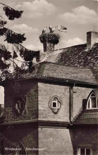 AK / Ansichtskarte Windecken Storchennest Stoerche Turm Mittelalter Dach Mauerwerk Baum