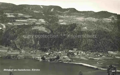 AK / Ansichtskarte Steindorf Ossiacher See Kaernten AT Ossiachersee Seeblick Dorf Wald Felder Berge Luftaufnahme