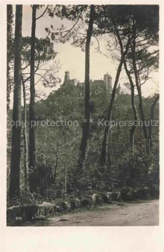 AK / Ansichtskarte Sintra LISBOA PT Schloss-Pena Wald Pinien Palast Romantik Weg Burg Huegel