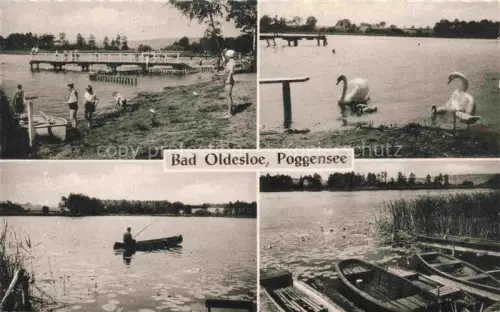 AK / Ansichtskarte Oldesloe Bad Poggensee See Badesteg Schwaene Angler Boot Schilf Mehrbildkarte Sommerbad